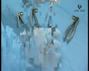 serial_pic