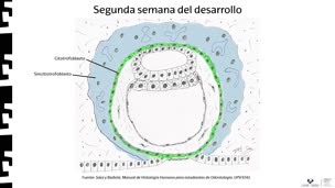 serial_pic
